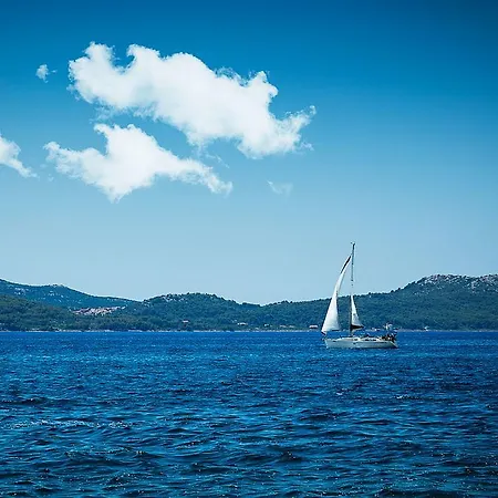 Апартаменты Cozy Old Town Задар