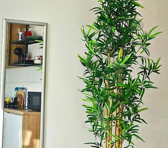 Cozy Old Town Apartment *