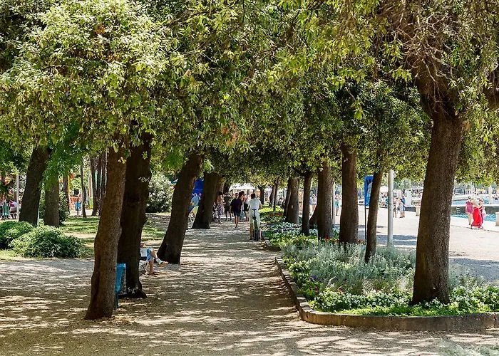 Cozy Old Town Apartment Apartment *